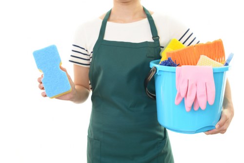Professional cleaner in W1 working in a modern apartment