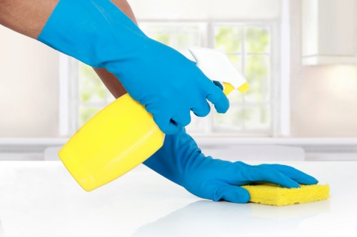 Professional carpet cleaning in a W1 living room