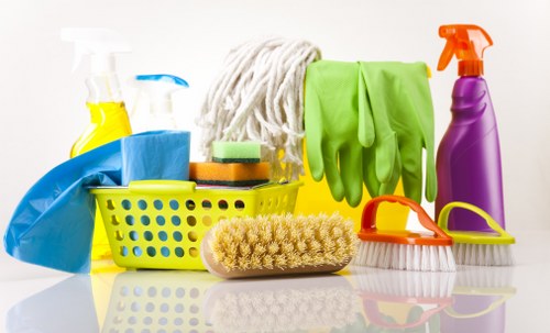 Domestic cleaning services in W1 for homes and apartments