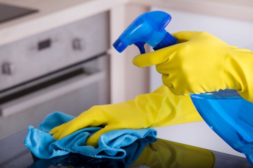 Professional oven cleaning in W1 for a spotless kitchen appliance