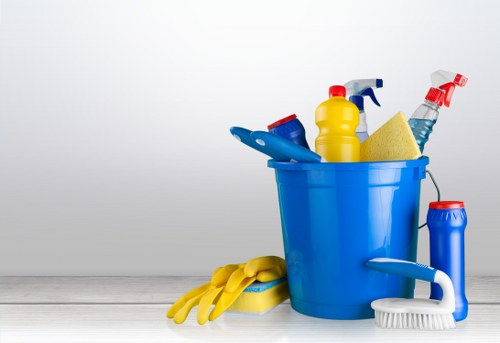 Deep carpet cleaning service for W1 home flooring