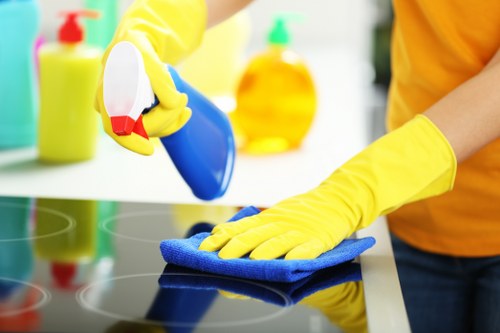 Illustration of accessibility request support for Carpetcleaning W1