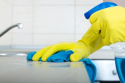 Illustration of screen-reader compatible carpet cleaning information