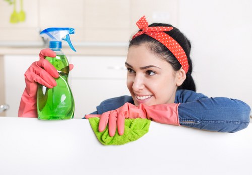 Carpet cleaning for homes and managed properties in W1
