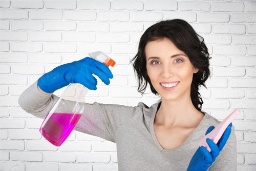 Deep cleaning of a bathroom during end of tenancy cleaning in W1