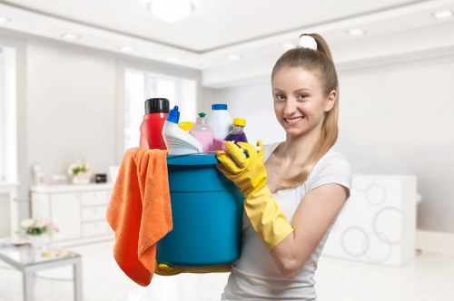Stain removal treatment by a carpet cleaner in W1