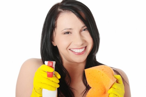 Eco-friendly specialist cleaning options in W1